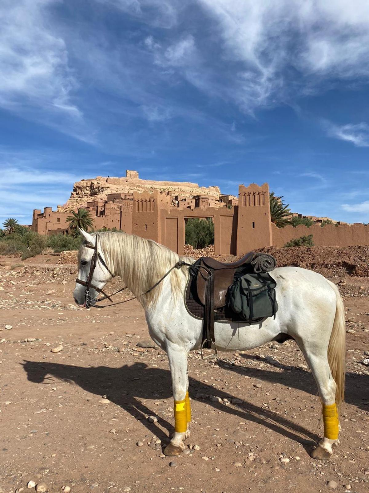 Taman'Art Space Ait Benhaddou Buitenkant foto